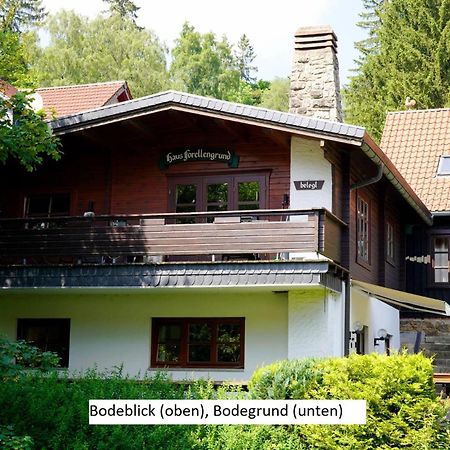 Ferienwohnungen Forellengrund شيارك المظهر الخارجي الصورة