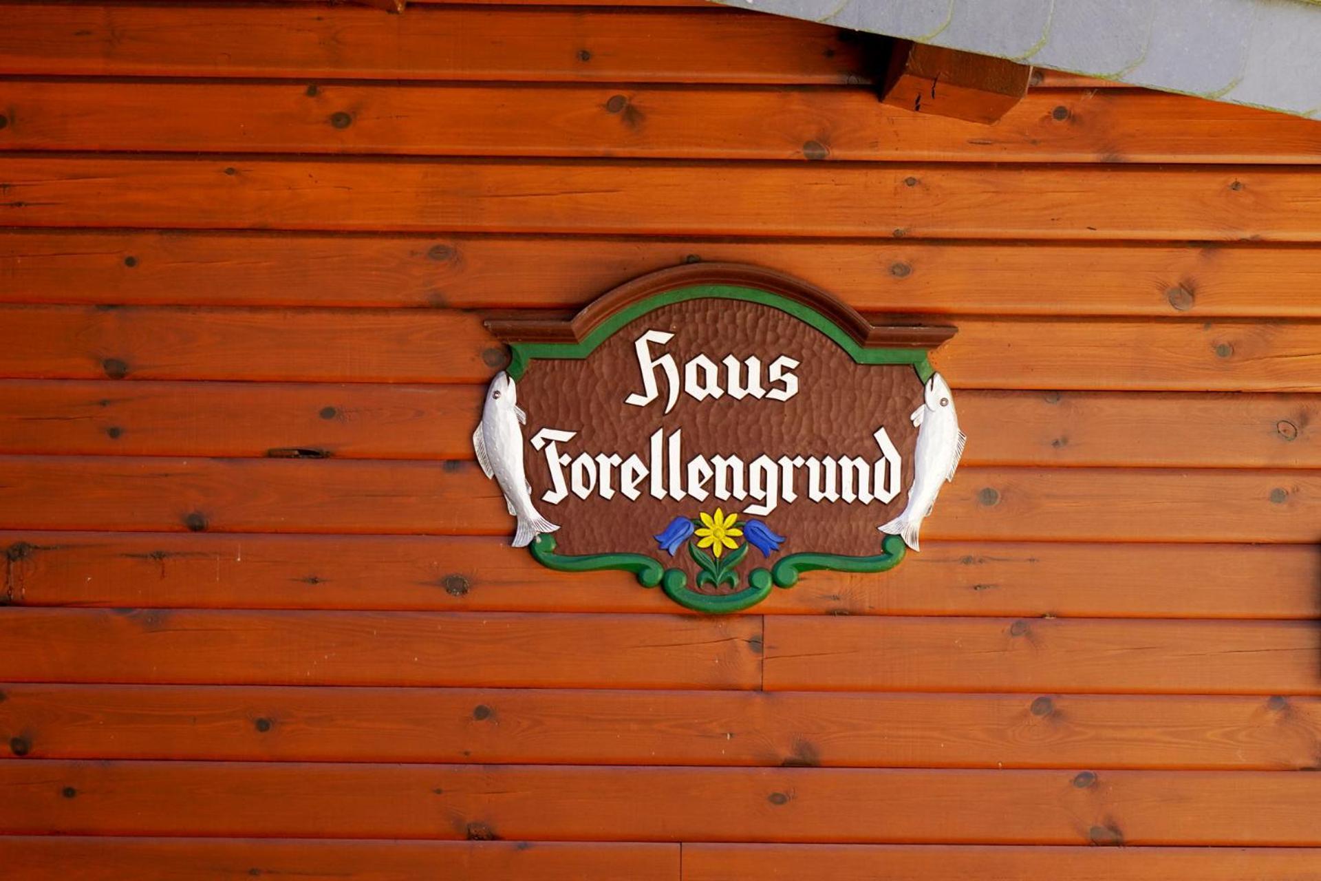 Ferienwohnungen Forellengrund شيارك المظهر الخارجي الصورة